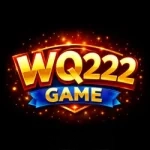 WQ222 Android Guide 2026: Installation and Available Features